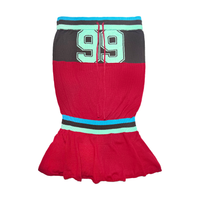 Varsity Knit Dress - Red/Teal