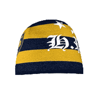 
              REM Rugby Striped Beanie
            